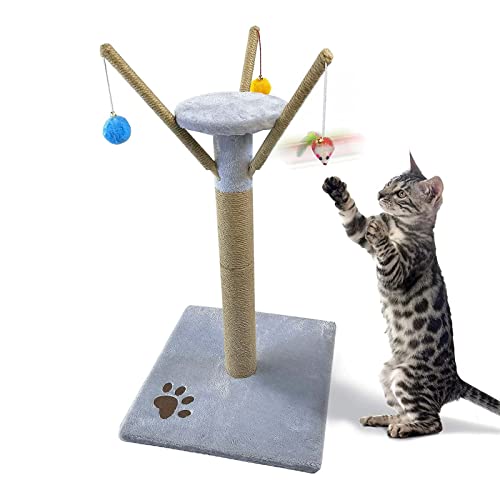 Kratzbaum für Katzen Katzenkratzbaum Big Cat Claw Scratcher Tree Interaktive Bälle für Katzenspiel (Farbe : Gray, Size : 74x40x40cm) von ONDIAN