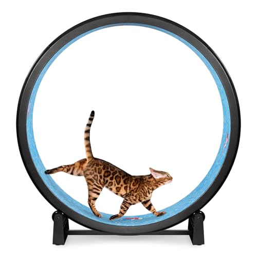 ONE FAST CAT - Katzen-Trainingsrad - Gen. 7 - Sicher 121,9 cm Durchmesser - Hergestellt in den USA - Schwarzes Rad mit Koi-Teich-Schaumstoff-Traktionspads von ONE FAST CAT