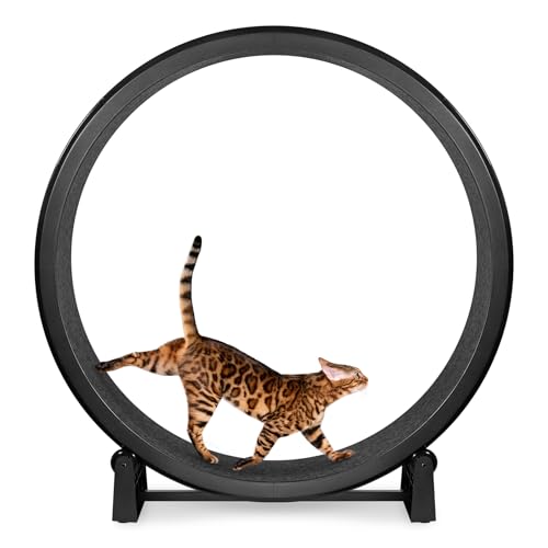 ONE FAST CAT - Katzen-Trainingsrad – sicherer 121,9 cm Durchmesser – hergestellt in den USA – schwarzes Rad mit schwarzen Filz-Traktionspads von ONE FAST CAT