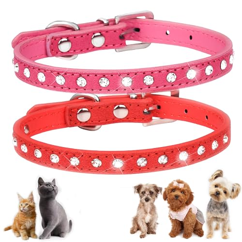 Bling XXS Katzenhalsband mit Strasssteinen, Glitzer, Diamantschmuck, Kristall, für Mädchen, Welpen, Halsband für XXS, XS, kleine, mittelgroße Hündinnen und Katzen, Rot + Hot Pink, XXS, 1,6 cm Bling XXS Katzenhalsband mit Strasssteinen, Glitzer, Diamantschmuck, Kristall, für Mädchen, Welpen, Halsband für XXS, XS, kleine, mittelgroße Hündinnen und Katzen, Rot + Hot Pink, XXS, 1,6 cm von ONEFOJOJO