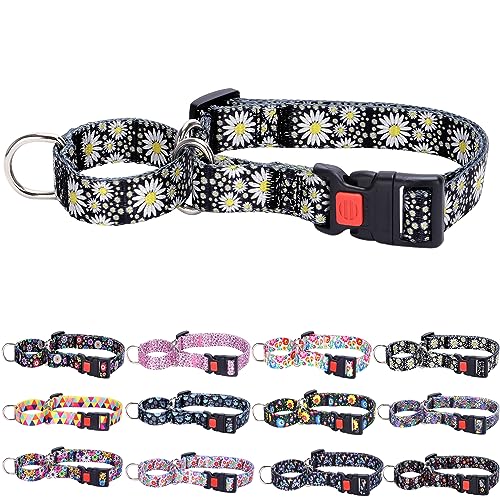 Daisy Martingale Halsband für kleine, mittelgroße und große Hunde, verstellbar, Nylon, strapazierfähig, für Spaziergänge, Training für Jungen und Mädchen, Größe M von ONEFOJOJO