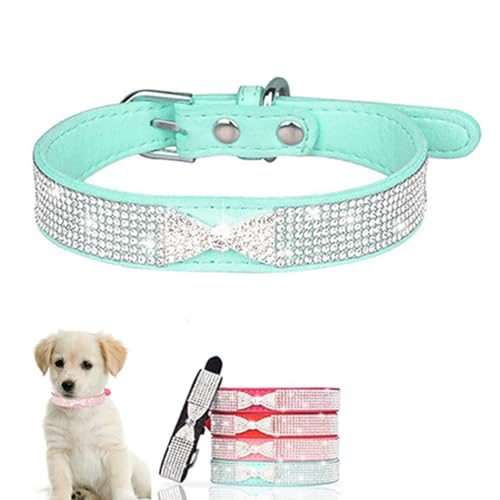 Diamant-Hundehalsband mit Schleife, Strass, hübsches Glitzer-Schmuckstück, glitzernd, Welpenhalsband für XXS, XS, S, M, Haustier, Mädchen, Jungen, Hunde, weibliche Katzen, Kätzchen, Blaugrün, L Diamant-Hundehalsband mit Schleife, Strass, hübsches Glitzer-Schmuckstück, glitzernd, Welpenhalsband für XXS, XS, S, M, Haustier, Mädchen, Jungen, Hunde, weibliche Katzen, Kätzchen, Blaugrün, L von ONEFOJOJO