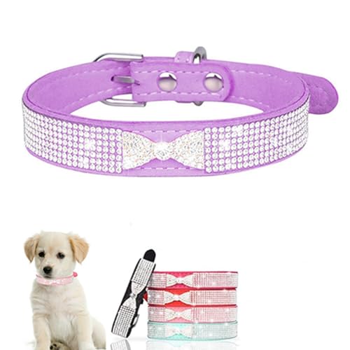 Diamant-Hundehalsband mit Schleife, Strass, hübsches Glitzer-Schmuckstück, glitzernd, Welpenhalsband für XXS, XS, S, M, Haustier, Mädchen, Jungen, Hunde, weibliche Katzen, Kätzchen, Lila, M Diamant-Hundehalsband mit Schleife, Strass, hübsches Glitzer-Schmuckstück, glitzernd, Welpenhalsband für XXS, XS, S, M, Haustier, Mädchen, Jungen, Hunde, weibliche Katzen, Kätzchen, Lila, M von ONEFOJOJO