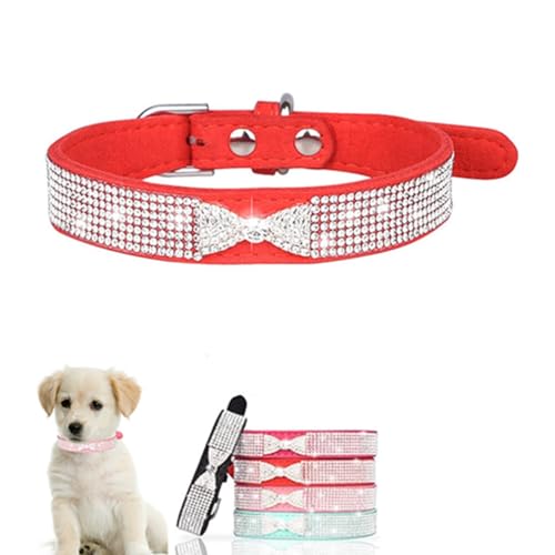 Diamant-Hundehalsband mit Schleife, Strass, hübsches Glitzer-Schmuckstück, glitzernd, Welpenhalsband für XXS, XS, S, M, Haustier, Mädchen, Jungen, Hunde, weibliche Katzen, Kätzchen, Rot, XS Diamant-Hundehalsband mit Schleife, Strass, hübsches Glitzer-Schmuckstück, glitzernd, Welpenhalsband für XXS, XS, S, M, Haustier, Mädchen, Jungen, Hunde, weibliche Katzen, Kätzchen, Rot, XS von ONEFOJOJO
