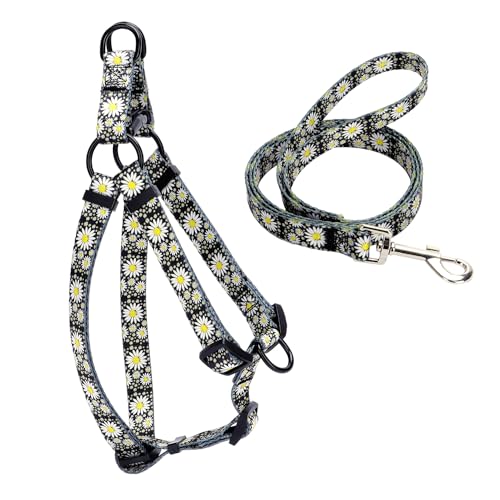 Hundegeschirr-Set – kein Ziehen, verstellbarer Rückenclip, Halfter, robuste Leine für extra kleine Welpen, mittelgroße und große Rassen, Training, einfaches Gehen und Laufen (Gänseblümchen, XS) von ONEFOJOJO