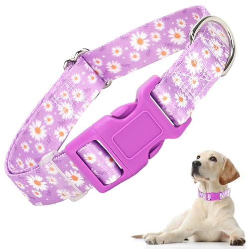 Hundehalsband für Welpen, kleine Hunde, niedliches Mädchen-Hundehalsband mit Gänseblümchen-Muster, verstellbar, strapazierfähig, mit Sicherheitsschnalle für XS, kleine, mittelgroße und große Hunde Hundehalsband für Welpen, kleine Hunde, niedliches Mädchen-Hundehalsband mit Gänseblümchen-Muster, verstellbar, strapazierfähig, mit Sicherheitsschnalle für XS, kleine, mittelgroße und große Hunde von ONEFOJOJO