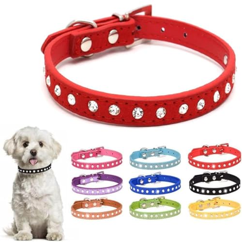 Hundehalsband für kleine Hunde, mit Strasssteinen, lustige Katze, Kätzchen, verstellbar, für XS, Welpen, mittelgroß, Jungen, Mädchen, Damen, Rot, Größe M Hundehalsband für kleine Hunde, mit Strasssteinen, lustige Katze, Kätzchen, verstellbar, für XS, Welpen, mittelgroß, Jungen, Mädchen, Damen, Rot, Größe M von ONEFOJOJO