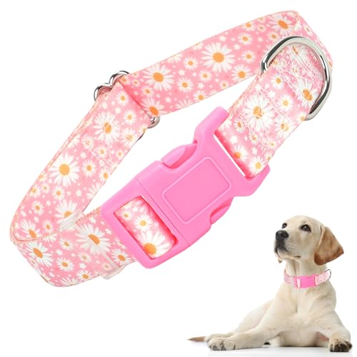 Hundehalsband für kleine Hunde, mit heißen Gänseblümchen, verstellbar, bequem, weich, mit Sicherheitsschnalle, für XS, kleine, mittelgroße und große Hunde (S) von ONEFOJOJO