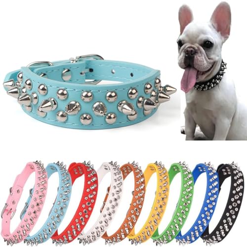 Hundehalsband mit Stacheln, Vollmetallschnalle, Nieten, Punk-Pilze, Katzenhalsband, verstellbar, für XS, S, M, L, XL, Welpen, Kätzchen, Jungen, Hellblau, Größe M Hundehalsband mit Stacheln, Vollmetallschnalle, Nieten, Punk-Pilze, Katzenhalsband, verstellbar, für XS, S, M, L, XL, Welpen, Kätzchen, Jungen, Hellblau, Größe M von ONEFOJOJO