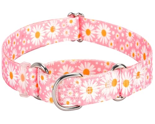 Martingale Halsband für Hunde, Größe M, L, Mädchen-Hundehalsband mit verstellbarem, weichem Nylon und speziellem rosa Gänseblümchen-Design, rutschfest, Größe M Martingale Halsband für Hunde, Größe M, L, Mädchen-Hundehalsband mit verstellbarem, weichem Nylon und speziellem rosa Gänseblümchen-Design, rutschfest, Größe M von ONEFOJOJO