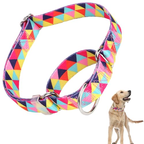 Martingale-Halsband für Hunde, Martingal-Hundehalsband, verstellbar, hochwertig, rutschfest, Martingal-Halsband für große Mädchen oder Jungen von ONEFOJOJO