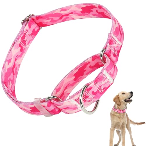 Martingale-Halsband für Hunde, Martingale-Hundehalsband, verstellbar, hochwertig, rutschfest, Martingal-Halsband für kleine Mädchen oder Jungen von ONEFOJOJO