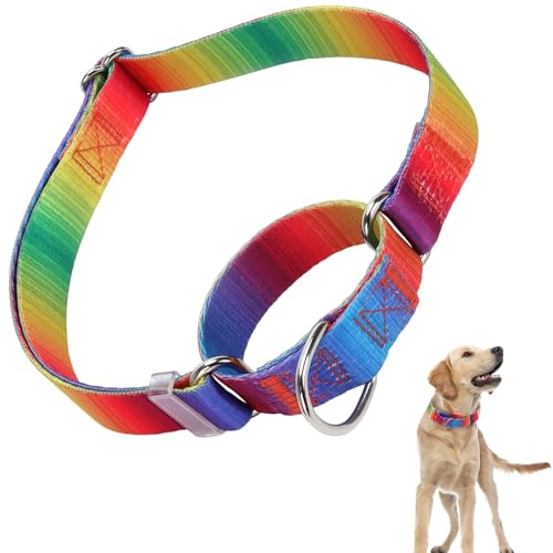 Martingale-Halsband für Hunde, verstellbar, weiches Nylon, mit speziellem Design, Regenbogenfarben, niedliches Muster für kleine, mittelgroße und große Hunde (Regenbogenfarben, Größe M von ONEFOJOJO