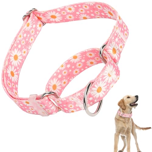 Martingale-Halsband für Hunde, verstellbar, weiches Nylon, mit speziellem Design, rosa Gänseblümchen, niedliches Muster für kleine, mittelgroße und große Hunde (rosa Gänseblümchen, M) von ONEFOJOJO