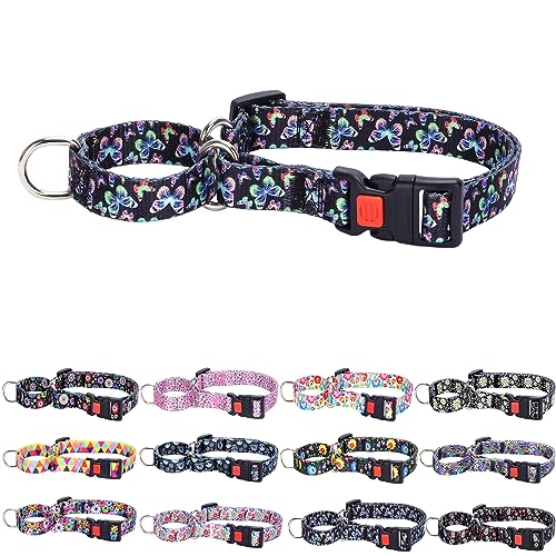 Martingale-Halsband für kleine, mittelgroße und große Hunde, verstellbar, Nylon, strapazierfähig, Spaziergangstraining, Jungen und Mädchen, Größe S Martingale-Halsband für kleine, mittelgroße und große Hunde, verstellbar, Nylon, strapazierfähig, Spaziergangstraining, Jungen und Mädchen, Größe S von ONEFOJOJO