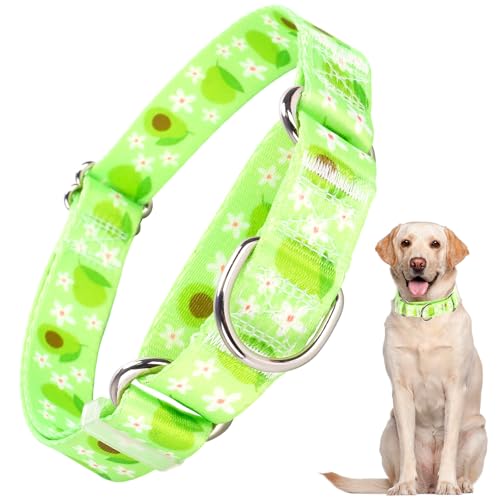 Martingale-Hundehalsband für Hunde, hochwertiges rutschfestes Halsband, verstellbares Martingal-Halsband für kleine, mittelgroße und große Hunde, Mädchen, Hunde, Jungen, Hunde (Avocado L) von ONEFOJOJO