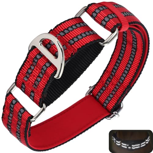 Martingale Hundehalsband für Hunde, reflektierend, strapazierfähig, verstellbar, ohne Schnalle, rutschfestes Halsband für Mädchen oder Jungen, Hundetraining, Spazierengehen, Jagd (Rot, L) von ONEFOJOJO