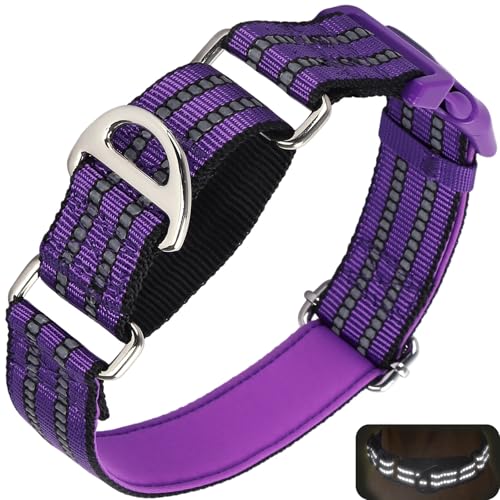 Martingale Hundehalsband für Hunde, reflektierendes, strapazierfähiges, verstellbares Halsband mit Schnalle, rutschfestes Halsband für Mädchen oder Jungen, Hundetraining, Spazierengehen, Jagd Martingale Hundehalsband für Hunde, reflektierendes, strapazierfähiges, verstellbares Halsband mit Schnalle, rutschfestes Halsband für Mädchen oder Jungen, Hundetraining, Spazierengehen, Jagd von ONEFOJOJO