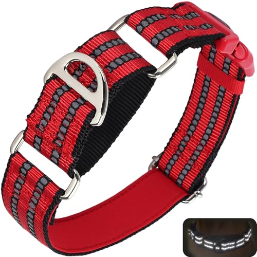 Martingale Hundehalsband für Hunde, reflektierendes, strapazierfähiges, verstellbares Halsband mit Schnellverschluss-Schnalle, rutschfestes Halsband für Mädchen oder Jungen, Hundetraining, Martingale Hundehalsband für Hunde, reflektierendes, strapazierfähiges, verstellbares Halsband mit Schnellverschluss-Schnalle, rutschfestes Halsband für Mädchen oder Jungen, Hundetraining, von ONEFOJOJO