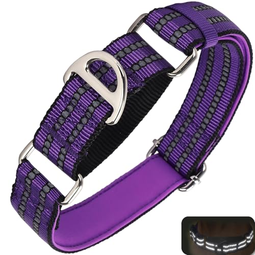 Martingale Hundehalsband für Hunde, reflektierendes, strapazierfähiges, verstellbares Halsband ohne Schnalle, rutschfestes Halsband für Mädchen oder Jungen, Hundetraining, Spazierengehen, Jagd Martingale Hundehalsband für Hunde, reflektierendes, strapazierfähiges, verstellbares Halsband ohne Schnalle, rutschfestes Halsband für Mädchen oder Jungen, Hundetraining, Spazierengehen, Jagd von ONEFOJOJO