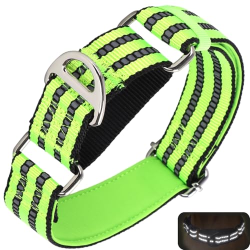 Martingale Hundehalsband für Hunde, reflektierendes, strapazierfähiges, verstellbares Halsband ohne Schnalle, rutschfestes Halsband für Mädchen oder Jungen, Hundetraining, Spazierengehen, Jagd (Grün, Martingale Hundehalsband für Hunde, reflektierendes, strapazierfähiges, verstellbares Halsband ohne Schnalle, rutschfestes Halsband für Mädchen oder Jungen, Hundetraining, Spazierengehen, Jagd (Grün, von ONEFOJOJO