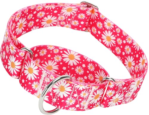 Martingale Hundehalsband für große/XL-Hunde, strapazierfähig, 3,8 cm, Militärqualität, Nylon, mit rotem Gänseblümchen-Design, rutschfest, verstellbar, Trainingshalsband, langlebig und stilvoll (L) Martingale Hundehalsband für große/XL-Hunde, strapazierfähig, 3,8 cm, Militärqualität, Nylon, mit rotem Gänseblümchen-Design, rutschfest, verstellbar, Trainingshalsband, langlebig und stilvoll (L) von ONEFOJOJO