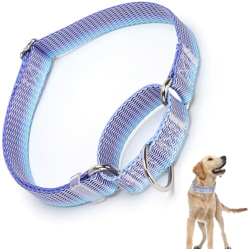 Martingale Hundehalsband mit Schnellverschluss, Trainingshalsbänder für kleine, mittelgroße und große Hunde (Wellen S) von ONEFOJOJO