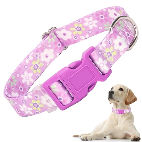 Hundehalsband für Mädchen, mit violettem Blumenmuster, verstellbar, weich, niedlich, Nylon, für kleine, mittelgroße und große Hunde (Floral, Lila, M) von ONEFOJOJO