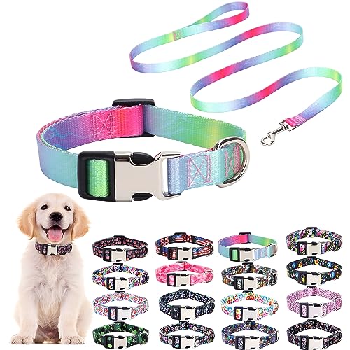 Niedliches Hundehalsband und Leine, Halsbänder mit Regenbogenmuster, verstellbar, weiches Nylon für XS, kleine, mittelgroße und große Hunde, Haustierhalsband für Hunde, Mädchen oder Jungen, von ONEFOJOJO
