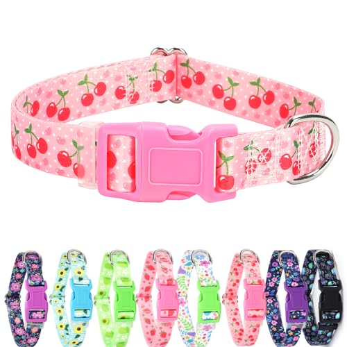 ONEFOJOJO Hundehalsband, niedliches Kirsch-Design, für kleine Hunde, weiches Nylon, Welpenhalsband für Jungen und Mädchen, Hündinnen, verstellbar, strapazierfähig, mit Schnellverschluss-Schnalle, Rosa ONEFOJOJO Hundehalsband, niedliches Kirsch-Design, für kleine Hunde, weiches Nylon, Welpenhalsband für Jungen und Mädchen, Hündinnen, verstellbar, strapazierfähig, mit Schnellverschluss-Schnalle, Rosa von ONEFOJOJO