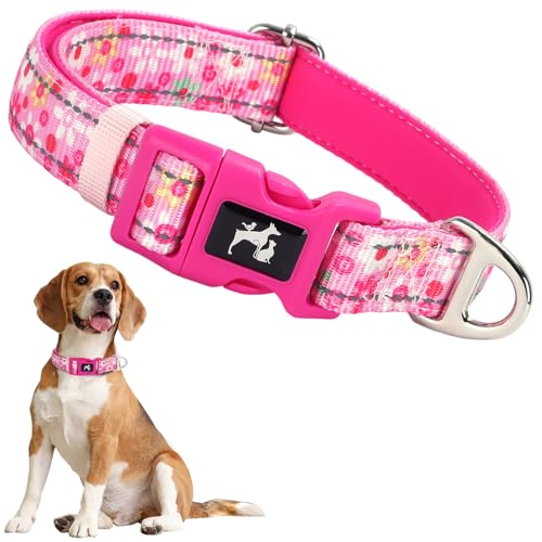 ONEFOJOJO Hundehalsband für Mädchen, reflektierend, niedlich, rosa Blume, Halsband für mittelgroße und extra große Hündinnen (Blume, L ONEFOJOJO Hundehalsband für Mädchen, reflektierend, niedlich, rosa Blume, Halsband für mittelgroße und extra große Hündinnen (Blume, L von ONEFOJOJO
