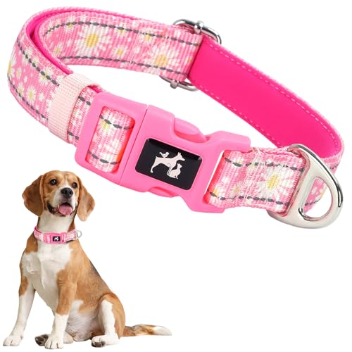 ONEFOJOJO Hundehalsband für mittelgroße Hunde, reflektierendes rosa Gänseblümchen-Hundehalsband für Hündinnen (Daisy M ONEFOJOJO Hundehalsband für mittelgroße Hunde, reflektierendes rosa Gänseblümchen-Hundehalsband für Hündinnen (Daisy M von ONEFOJOJO