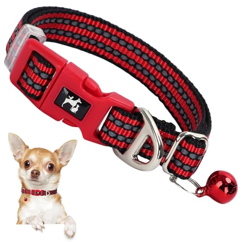 ONEFOJOJO Kleines Hundehalsband mit Glöckchen – niedliches reflektierendes Welpenhalsband, Geschenk für Mädchen, verstellbares Nylon-Halsband für Chihuahua, Zwergspitz, Sicherheit bei Nacht (Rot, S) ONEFOJOJO Kleines Hundehalsband mit Glöckchen – niedliches reflektierendes Welpenhalsband, Geschenk für Mädchen, verstellbares Nylon-Halsband für Chihuahua, Zwergspitz, Sicherheit bei Nacht (Rot, S) von ONEFOJOJO