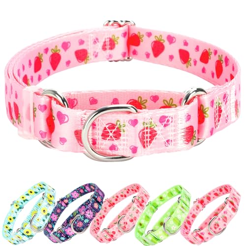 ONEFOJOJO Martingale Halsband für Hunde mit rosa Erdbeeren, niedliches verstellbares Halsband für kleine, mittelgroße und große Hunde (L) von ONEFOJOJO