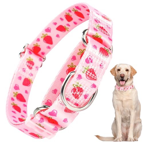 ONEFOJOJO Martingale Halsband für Hunde mit rosa Erdbeeren, niedliches verstellbares Halsband für kleine bis große Hunde, Mädchen und Jungen von ONEFOJOJO