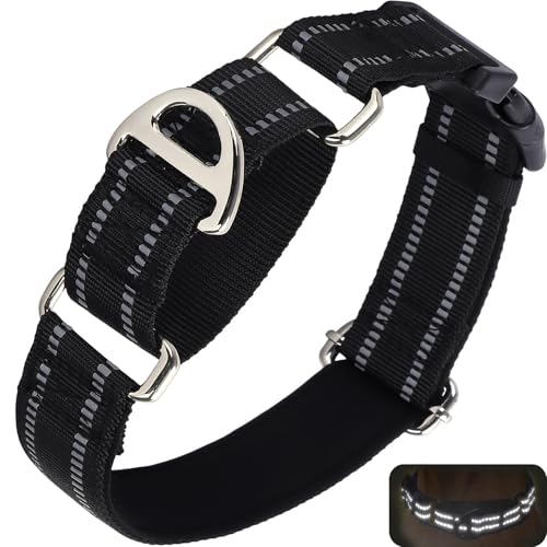 ONEFOJOJO Martingale Halsband für große Hunde, reflektierendes Nylon-Hundehalsband mit Schnellverschluss-Schnalle, verstellbar, Training, rutschfest, Größe L, Schwarz ONEFOJOJO Martingale Halsband für große Hunde, reflektierendes Nylon-Hundehalsband mit Schnellverschluss-Schnalle, verstellbar, Training, rutschfest, Größe L, Schwarz von ONEFOJOJO
