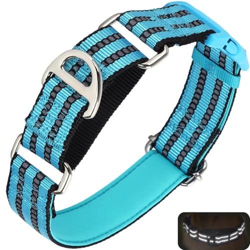ONEFOJOJO Martingale Hundehalsbänder für Hunde, reflektierendes Nylon-Hundehalsband mit Schnalle, verstellbar, Training, Walking, Jagd, rutschfestes Hundehalsband (klein, blau) von ONEFOJOJO