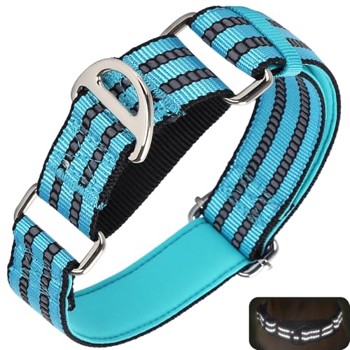 ONEFOJOJO Martingale Hundehalsbänder für Hunde, reflektierendes Nylon-Hundehalsband ohne Schnalle, verstellbar, Training, Spazierengehen, Jagd, rutschfestes Hundehalsband (groß, blau) von ONEFOJOJO