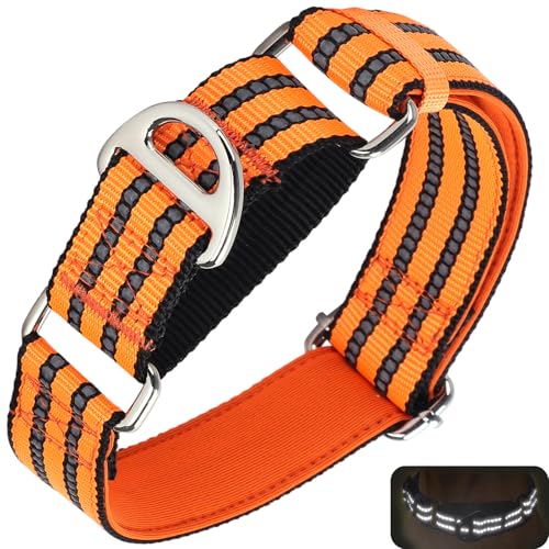 ONEFOJOJO Martingale Hundehalsbänder für Hunde, reflektierendes Nylon-Hundehalsband ohne Schnalle, verstellbar, Training, Walking, Jagd, rutschfestes Hundehalsband (groß, Orange) von ONEFOJOJO