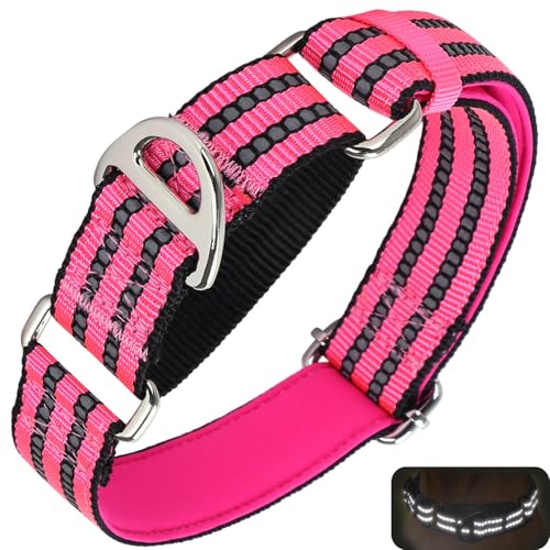 ONEFOJOJO Martingale Hundehalsband, reflektierend, Nylon, ohne Schnalle, verstellbar, Training, rutschfest, Größe L, Rosa ONEFOJOJO Martingale Hundehalsband, reflektierend, Nylon, ohne Schnalle, verstellbar, Training, rutschfest, Größe L, Rosa von ONEFOJOJO