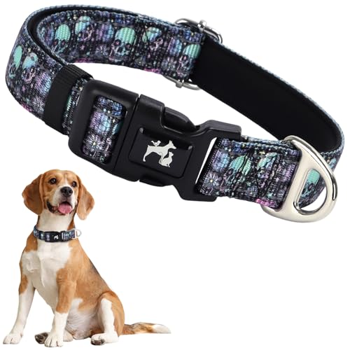 ONEFOJOJO Reflektierendes Hundehalsband mit Totenkopf-Muster, Hundehalsband für Jungen und Herren, verstellbare Sicherheits-Nylon-Halsbänder für mittelgroße und große Hunde (Totenkopf M) von ONEFOJOJO