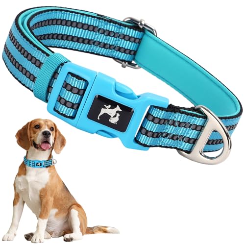 ONEFOJOJO Reflektierendes mittelgroßes Hundehalsband, verstellbar, gepolstert, Komfort mit robustem D-Ring aus Metall, Nachtsicherheitshalsband für große Rassen, für Deutscher Schäferhund, Labrador ONEFOJOJO Reflektierendes mittelgroßes Hundehalsband, verstellbar, gepolstert, Komfort mit robustem D-Ring aus Metall, Nachtsicherheitshalsband für große Rassen, für Deutscher Schäferhund, Labrador von ONEFOJOJO