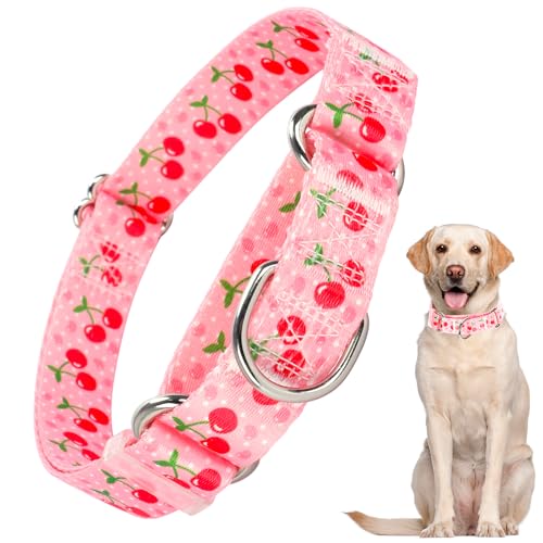 ONEFOJOJO Süßes Martingal-Halsband für kleine, mittelgroße und große Hunde, Mädchen, Hunde, Jungen, Rosa ONEFOJOJO Süßes Martingal-Halsband für kleine, mittelgroße und große Hunde, Mädchen, Hunde, Jungen, Rosa von ONEFOJOJO