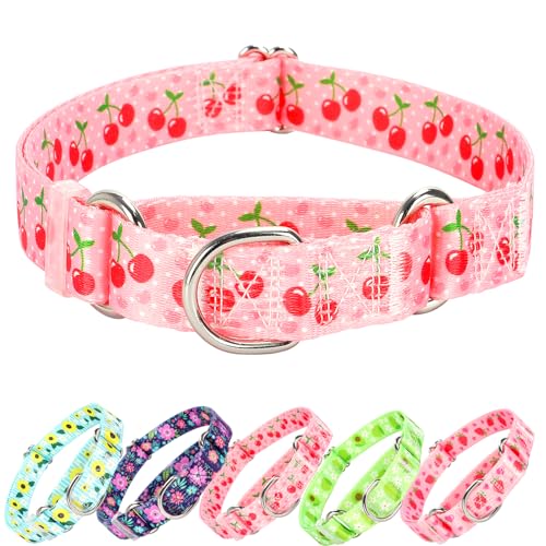 ONEFOJOJO Süßes Martingalhalsband für kleine, mittelgroße und große Hunde, Rosa Kirsche ONEFOJOJO Süßes Martingalhalsband für kleine, mittelgroße und große Hunde, Rosa Kirsche von ONEFOJOJO