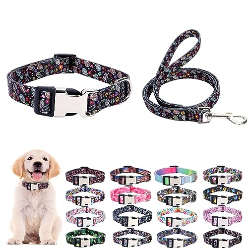 Puppy Collar and Leash Set for Daily Outdoor Walking Running Training, Design for Extra Small Boys Girls Dogs Cats Pets (Candy Skeleton Skull L) von ONEFOJOJO