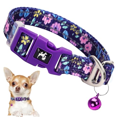 Reflektierendes Hundehalsband mit Glöckchen, Größe XS, für Welpen, Katzen, Mädchen, Kätzchen, kleine Rassen, niedliches, verstellbares Nylon-Halsband für Yorkie, Chihuahua, Nachtspaziergänge (XS) Reflektierendes Hundehalsband mit Glöckchen, Größe XS, für Welpen, Katzen, Mädchen, Kätzchen, kleine Rassen, niedliches, verstellbares Nylon-Halsband für Yorkie, Chihuahua, Nachtspaziergänge (XS) von ONEFOJOJO