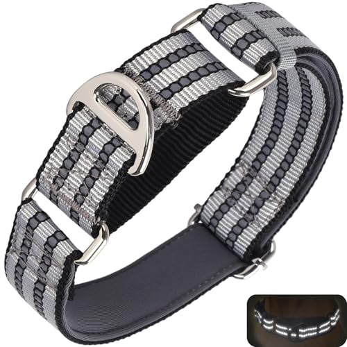Reflektierendes Martingal-Halsband für große Hunde ohne Schnalle, verstellbar, Training, Spazierengehen, Jagd, rutschfeste Halsbänder, Silber, Größe L Reflektierendes Martingal-Halsband für große Hunde ohne Schnalle, verstellbar, Training, Spazierengehen, Jagd, rutschfeste Halsbänder, Silber, Größe L von ONEFOJOJO