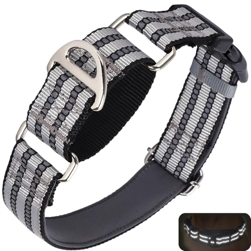 Reflektierendes Martingal-Halsband für kleine Hunde mit Schnellverschluss-Schnalle, verstellbar, Training, Spazierengehen, Jagd, rutschfeste Halsbänder (Silber, S) von ONEFOJOJO