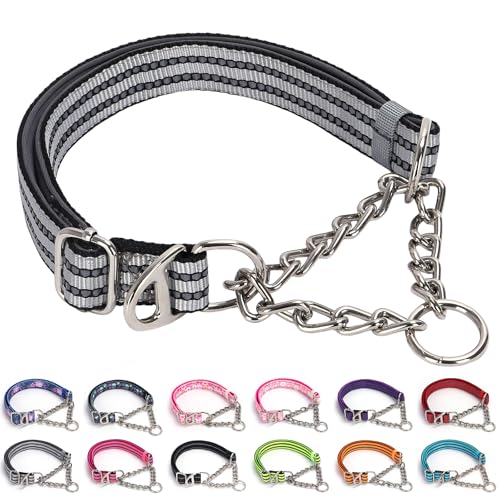 Reflektierendes Martingale-Halsband für Hunde, mit weich gepolstertem Gurt mit robuster Kette, verstellbares Trainingshalsband ohne Ziehen, ideal für Training, Walking, Jagd (Silber, M) von ONEFOJOJO