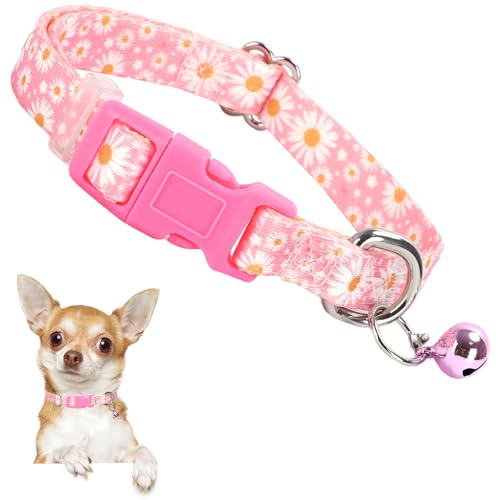 Rosa Welpenhalsband mit Glöckchen, Nylon-Halsband für Chihuahua, Zwergspitz, verstellbar, XXS/XS für Spaziergänge und tägliches Spielen (Daisy XS) von ONEFOJOJO